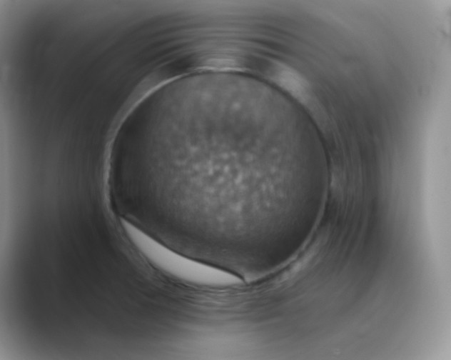 X0000089721378200707051712