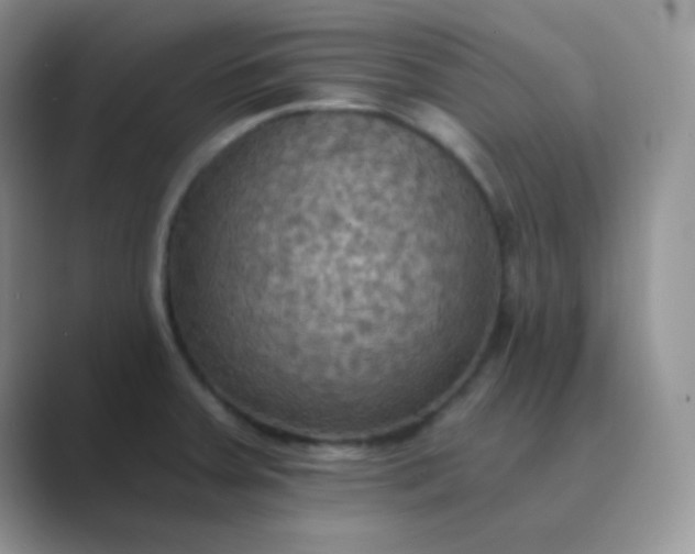 X0000089721379200707051712