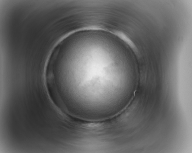 X0000089721380200707051712
