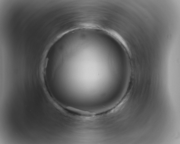 X0000089721381200707051712