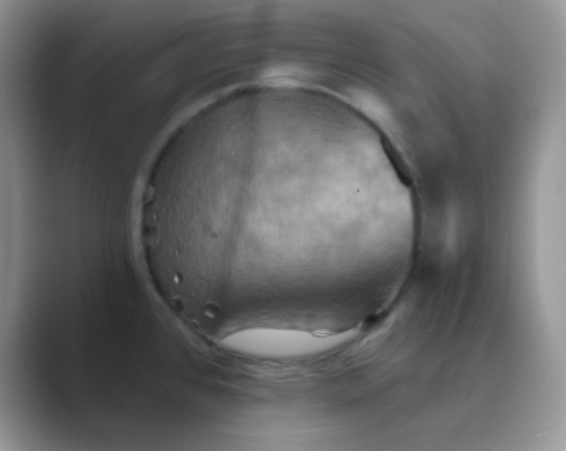 X0000089721384200707051712