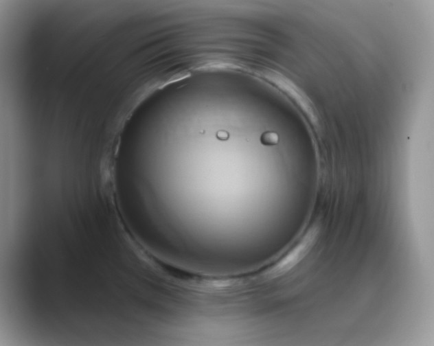 X0000089721385200707051712