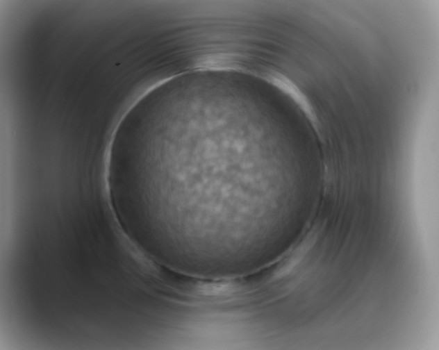 X0000089721386200707051712