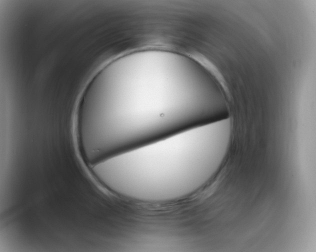 X0000089721391200707051712