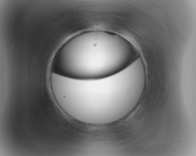 X0000089721392200707051712