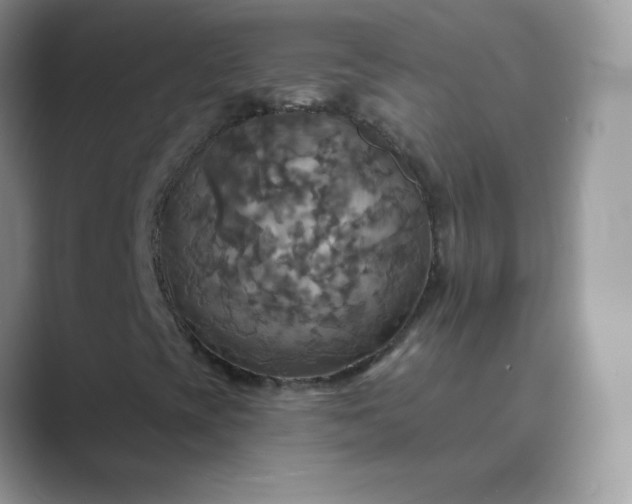 X0000089721393200707051711