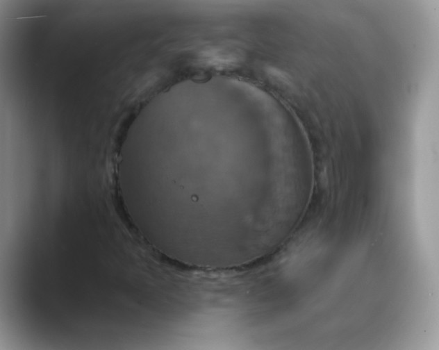 X0000089721397200707051711