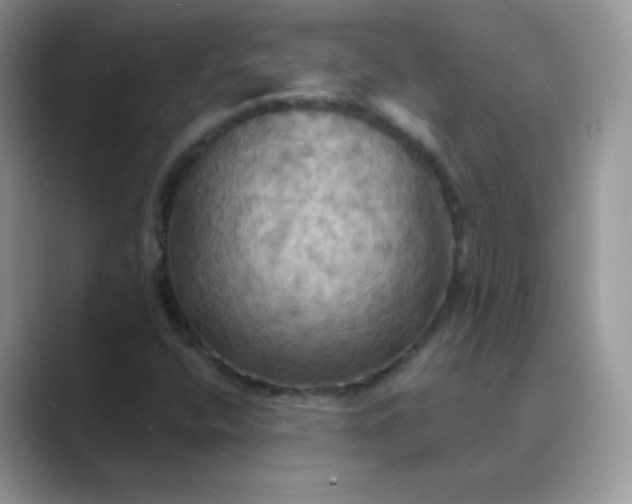 X0000089721400200707051711