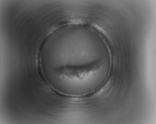 X0000089721401200707051711