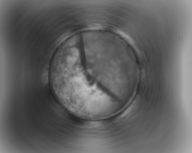 X0000089721409200707051711