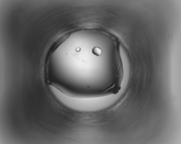 X0000089721410200707051711