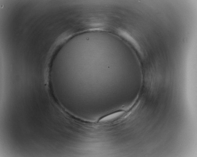 X0000089721411200707051711