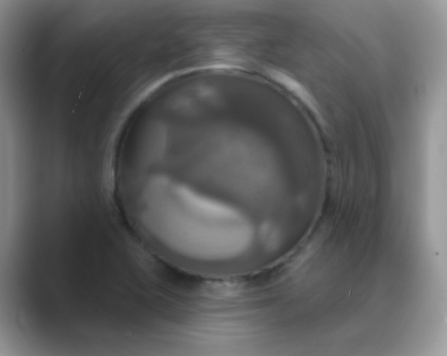 X0000089721415200707051711