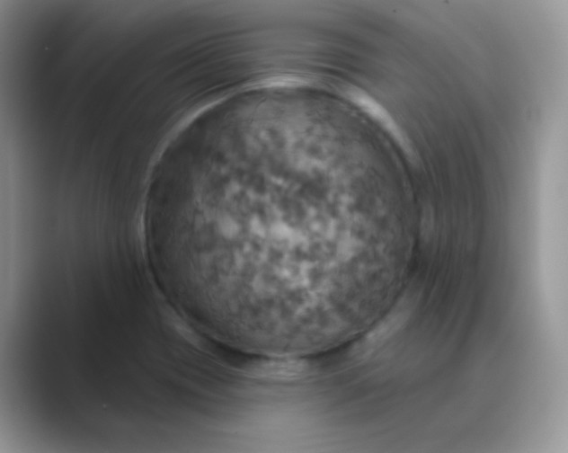 X0000089721417200707051711