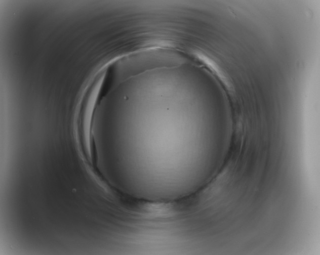 X0000089721418200707051711