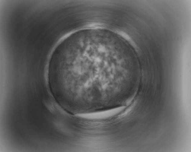 X0000089721421200707051711