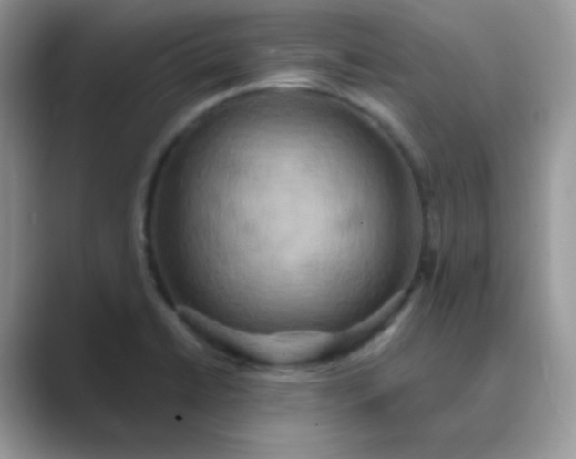 X0000089721422200707051711