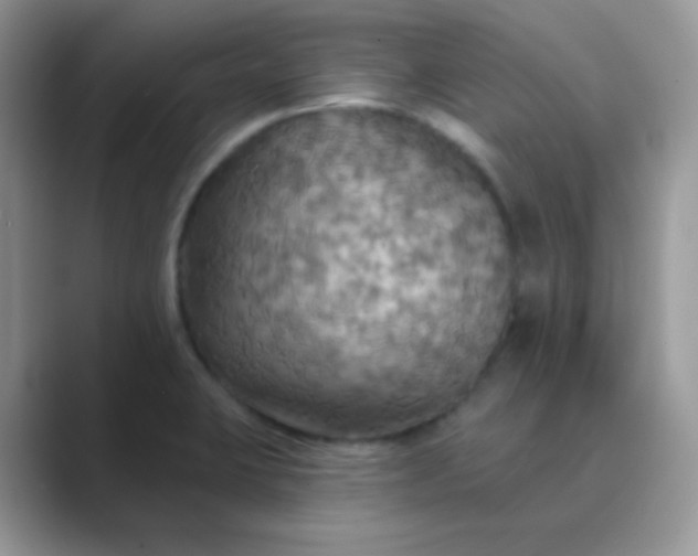 X0000089721423200707051711