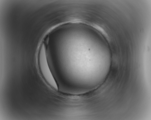 X0000089721424200707051711