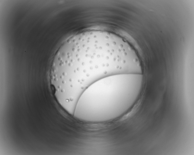 X0000089721425200707051711