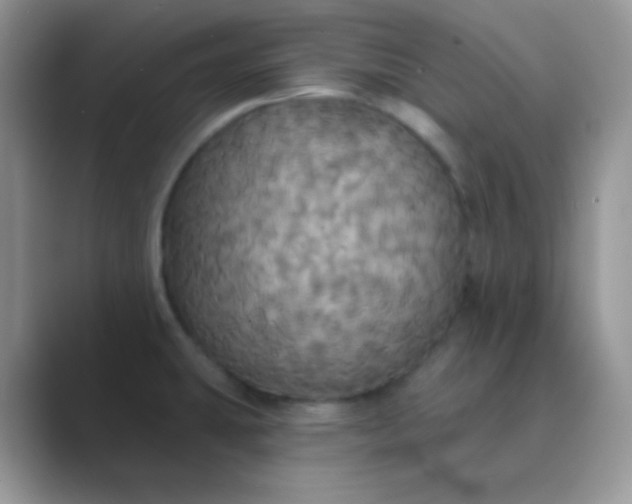 X0000089721431200707051711