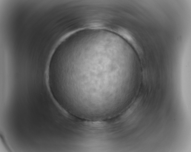 X0000089721432200707051711
