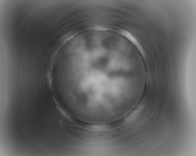 X0000089721433200707051712