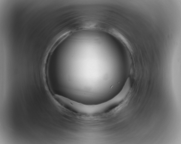 X0000089721434200707051712