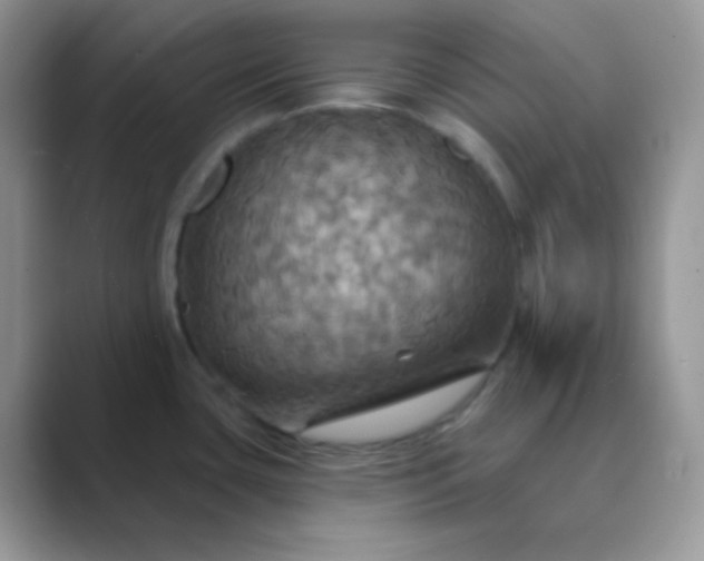 X0000089721435200707051712