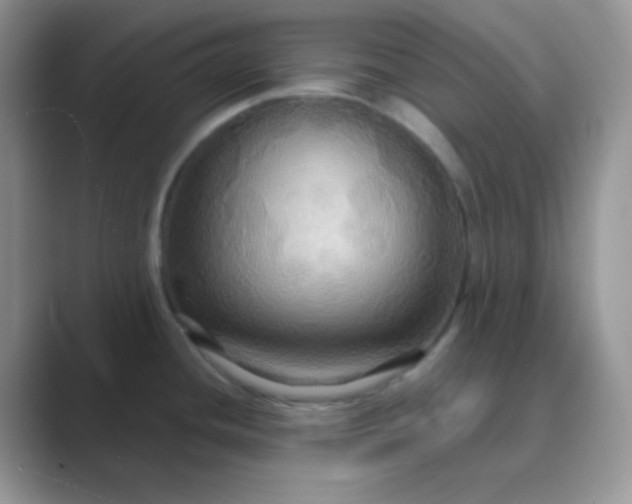 X0000089721436200707051712