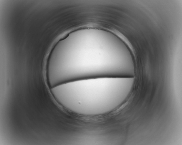 X0000089721437200707051712