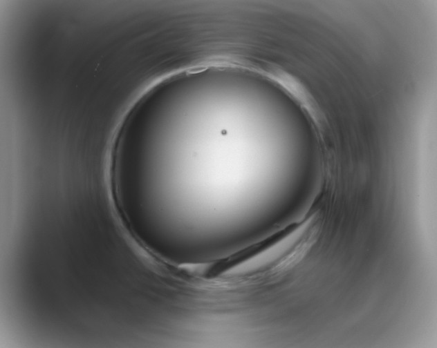 X0000089721438200707051712
