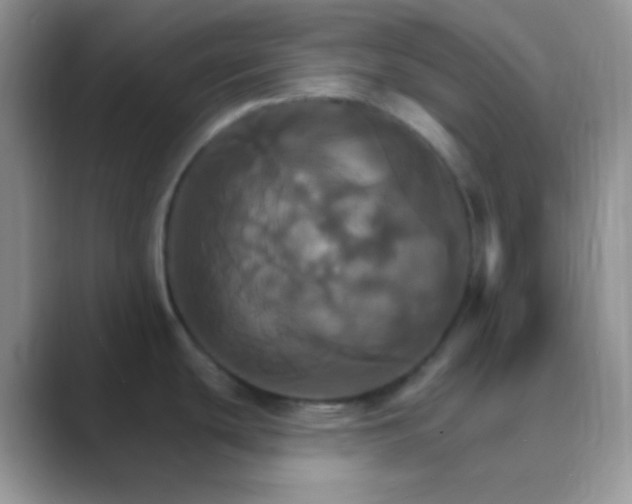 X0000089721439200707051712