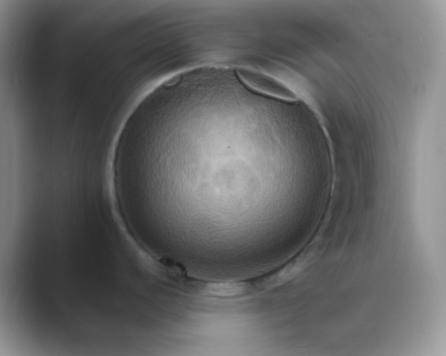 X0000089721440200707051712