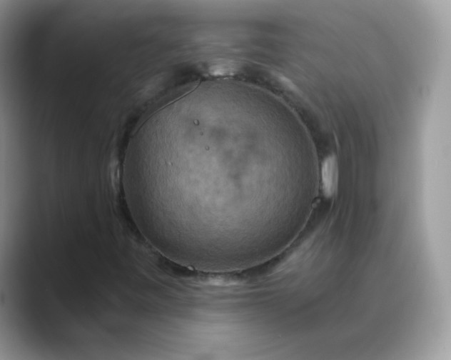 X0000089721443200707051711