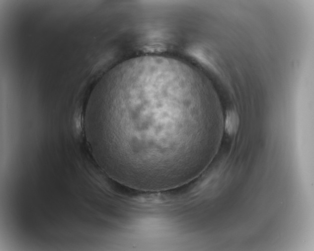 X0000089721444200707051711