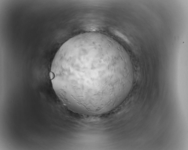 X0000089721446200707051711
