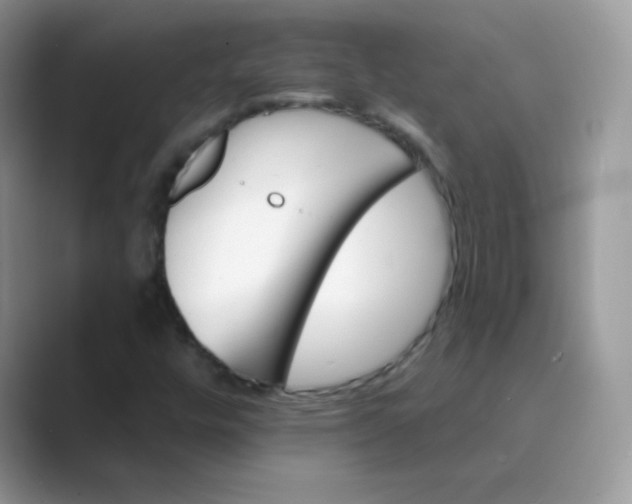 X0000089721448200707051711