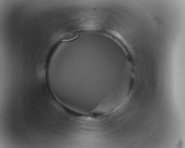 X0000089721450200707051711