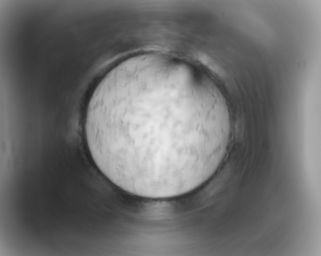 X0000089721454200707051711