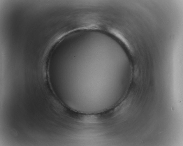 X0000089721455200707051711