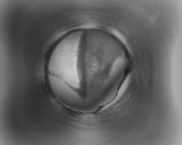 X0000089721456200707051711