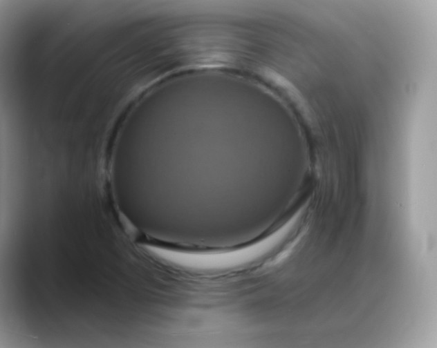 X0000089721457200707051711