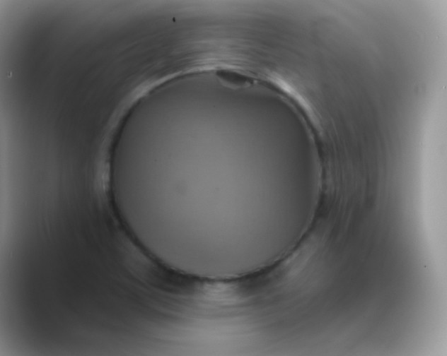 X0000089721459200707051711