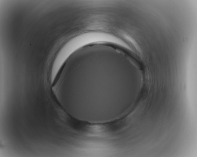 X0000089721461200707051711