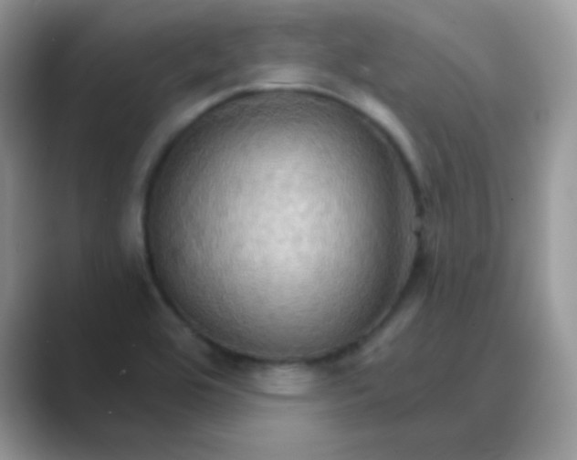 X0000089721464200707051711
