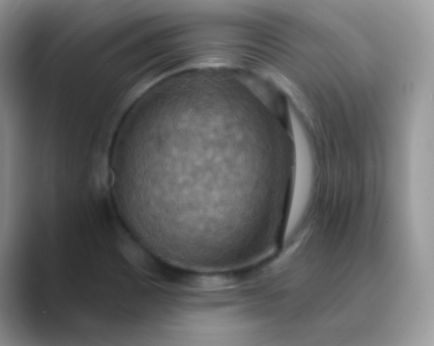 X0000089721465200707051711