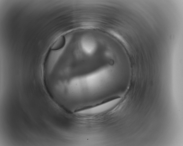 X0000089721467200707051711