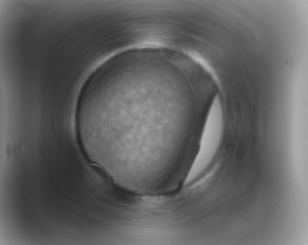 X0000089721469200707051711