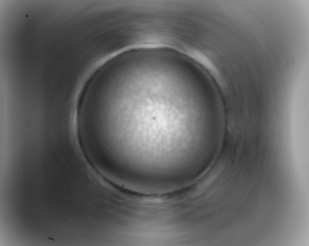 X0000089721472200707051711
